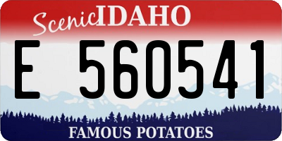 ID license plate E560541