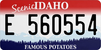 ID license plate E560554