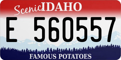 ID license plate E560557