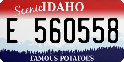 ID license plate E560558
