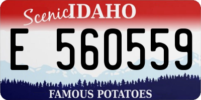 ID license plate E560559