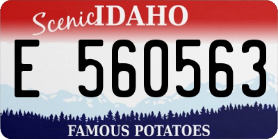 ID license plate E560563