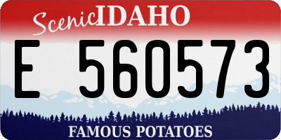 ID license plate E560573