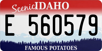 ID license plate E560579