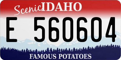ID license plate E560604