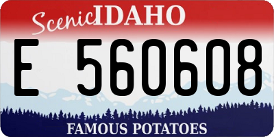 ID license plate E560608