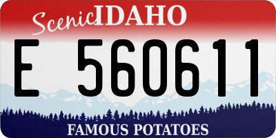 ID license plate E560611