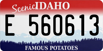 ID license plate E560613
