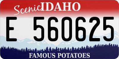 ID license plate E560625