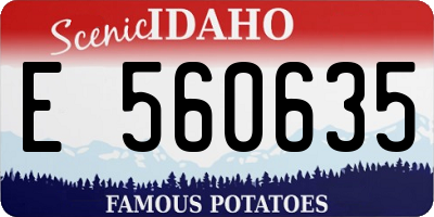 ID license plate E560635
