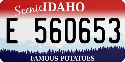 ID license plate E560653