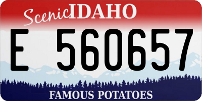 ID license plate E560657