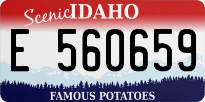 ID license plate E560659