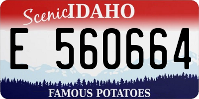 ID license plate E560664