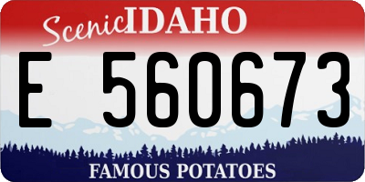 ID license plate E560673