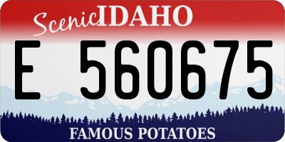ID license plate E560675