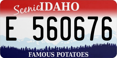 ID license plate E560676