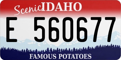 ID license plate E560677