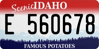 ID license plate E560678