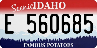 ID license plate E560685