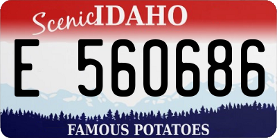 ID license plate E560686