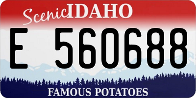 ID license plate E560688