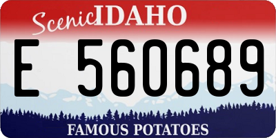 ID license plate E560689