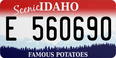 ID license plate E560690