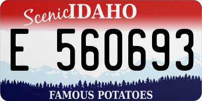 ID license plate E560693