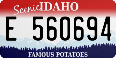 ID license plate E560694