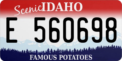 ID license plate E560698