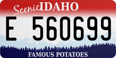 ID license plate E560699