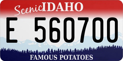 ID license plate E560700
