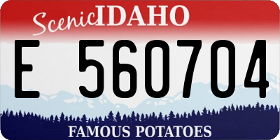 ID license plate E560704
