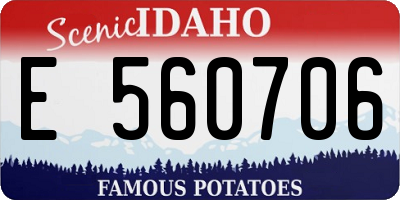 ID license plate E560706