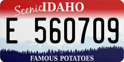 ID license plate E560709