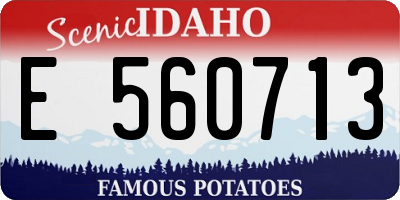 ID license plate E560713
