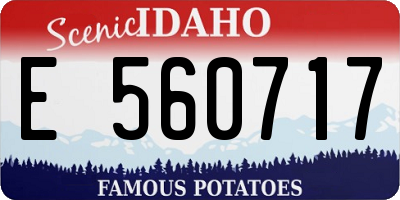 ID license plate E560717
