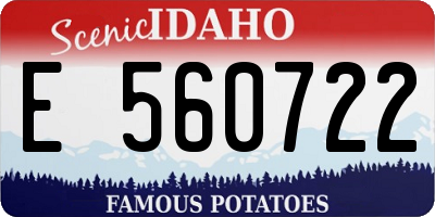 ID license plate E560722