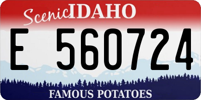 ID license plate E560724