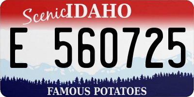 ID license plate E560725