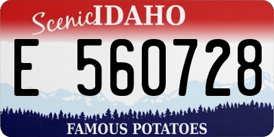 ID license plate E560728