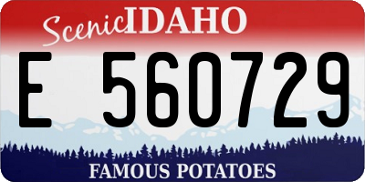 ID license plate E560729