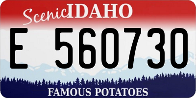 ID license plate E560730