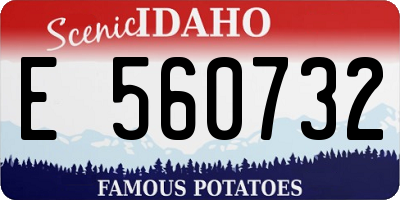 ID license plate E560732