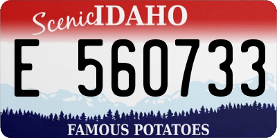 ID license plate E560733