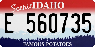 ID license plate E560735
