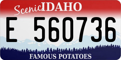 ID license plate E560736