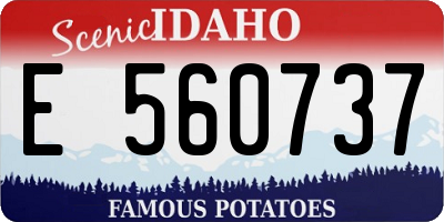 ID license plate E560737