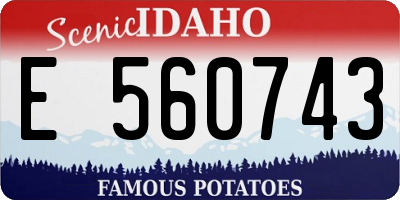 ID license plate E560743